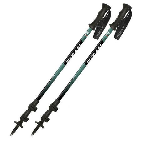 Trekkingstöcke Fizan Voyager grün petrol