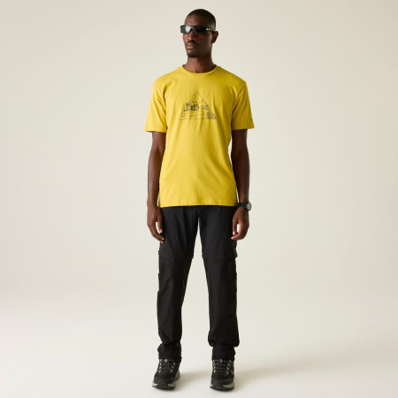 Herren-T-Shirt Dare 2b Movement III Tee