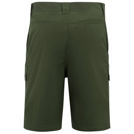 Herrenshorts Regatta Arlery Shorts