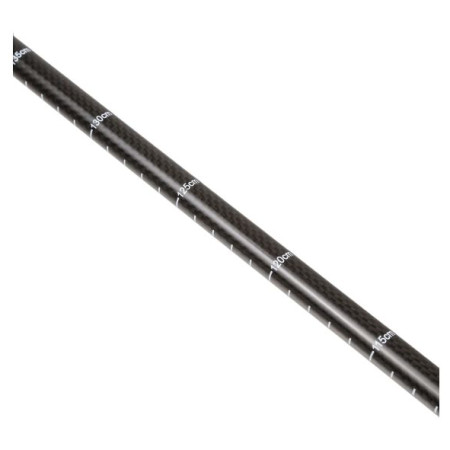 Trekkingstöcke Regatta CarbonWalkPlePair