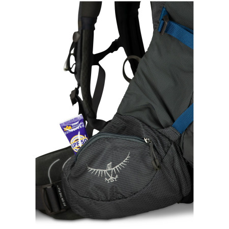 Rucksack Osprey Aether Plus 70