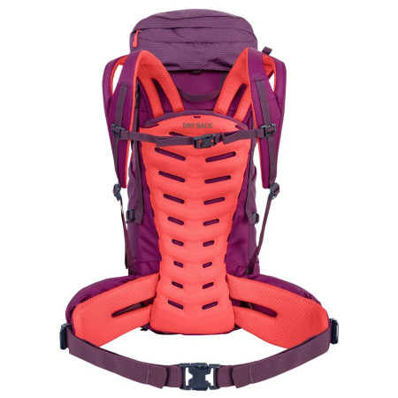 Damenrucksack Salewa Alptrek 38 +5 Bp Ws