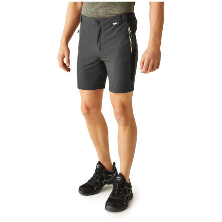 Herrenshorts Regatta Mountain ShortsII M