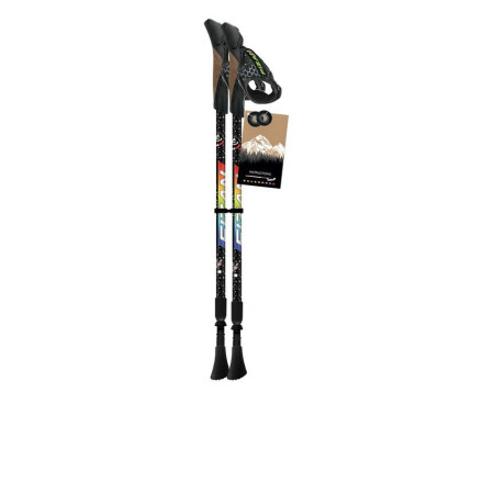 Kinder Nordic-Walking Stöcke Fizan NW Speed Junior schwarz/blau