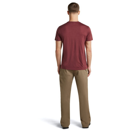 Herren-Funktionsshirt Icebreaker Men Merino 150 Tech Lite SS Tee Transportage