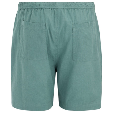 Herrenshorts Regatta Hadlin Shorts