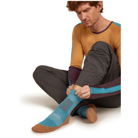 Socken Icebreaker Men Merino Hike+ Heavy Crew