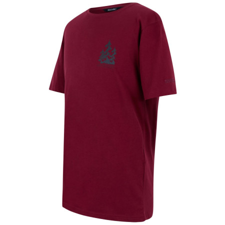 Herren T-Shirt Regatta Cline IX