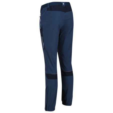 Herrenhose Regatta Mountain Trs III regular