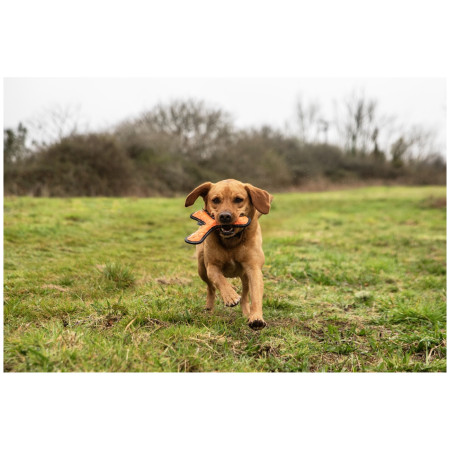 Hundespielzeug Mountain Paws Rubber Throw Dog Toy