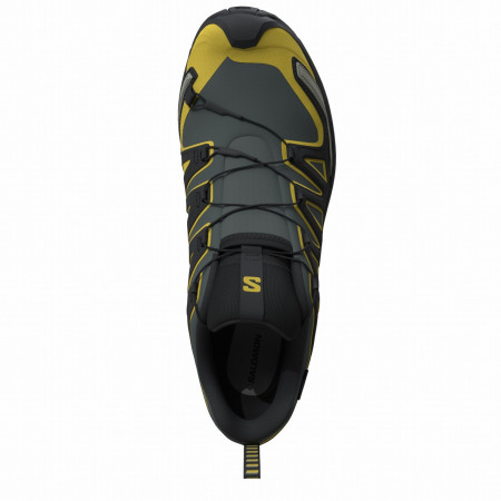 Wanderschuhe Salomon Xa Pro 3D V9 Gore-Tex