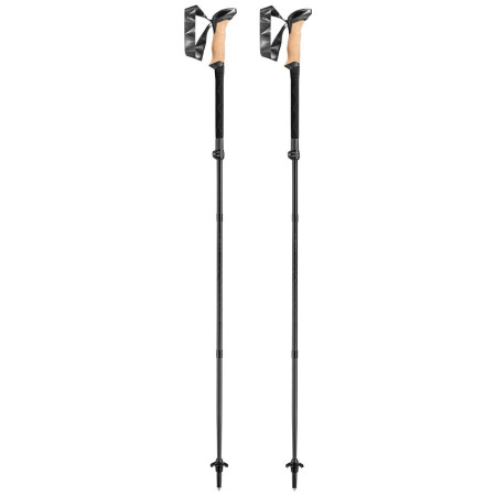 Trekkingstöcke Leki Black Series FX Carbon schwarz black-naturalcarbon