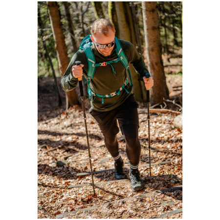 Trekkingstöcke Zulu Hiker Carbon Lock