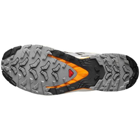Herrenschuhe Salomon Xa Pro 3D V9