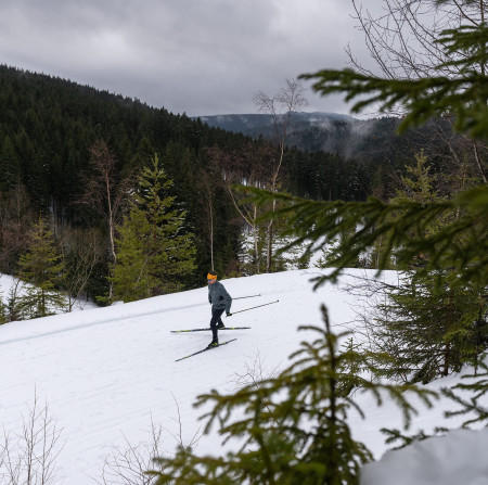 Wie wachst man Langlaufski? Alles, was Sie wissen müssen