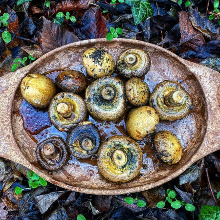 So kocht man in der Natur