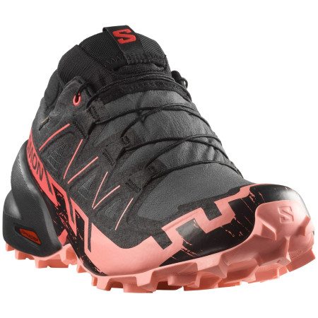 Damenschuhe Salomon Speedcross 6 Gore-Tex