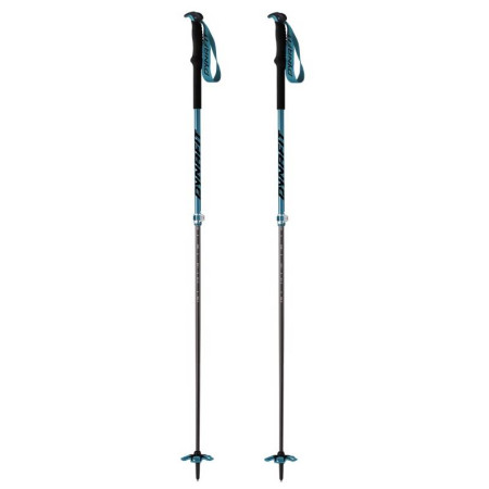 Skialp-Stöcke Dynafit Tour Vario 2.0 blau Reef