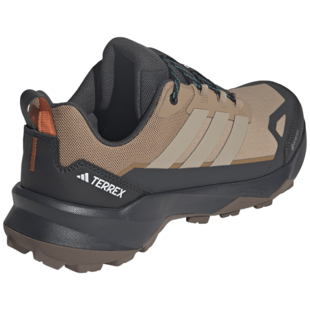 Wanderschuhe Adidas Terrex Skychaser Ax5 Gtx