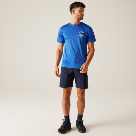 Herren-T-Shirt Regatta Fingal IX