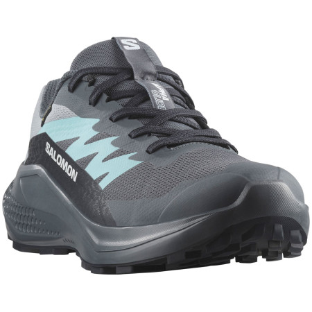 Damenschuhe Salomon Alphaglide Gore-Tex