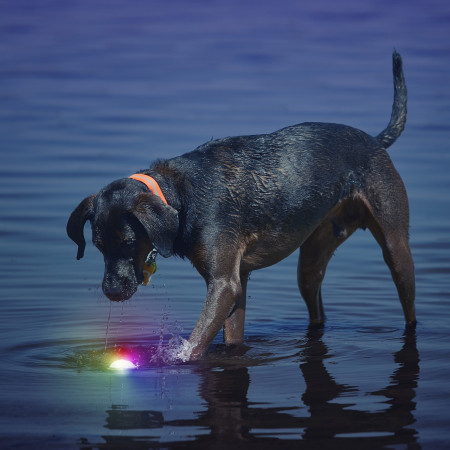Hundespielzeug Nite Ize Glowstreak LED Ball