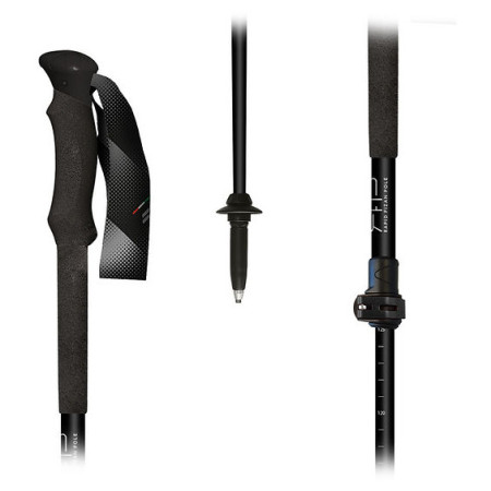 Trekkingstöcke Fizan RFP Touring