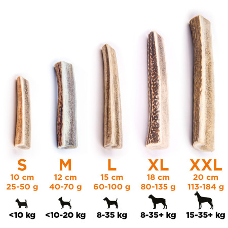 Hundespielzeug Explorer Dog Antler Chew easy