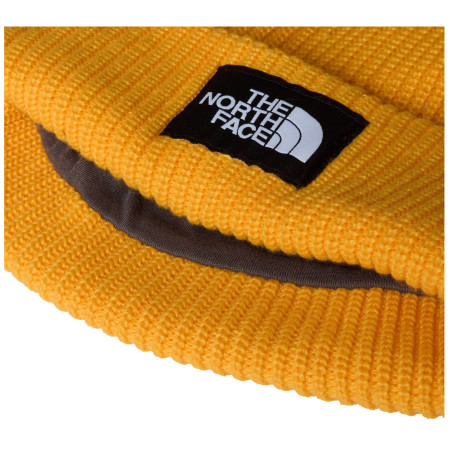 Mütze The North Face Salty Lined Beanie