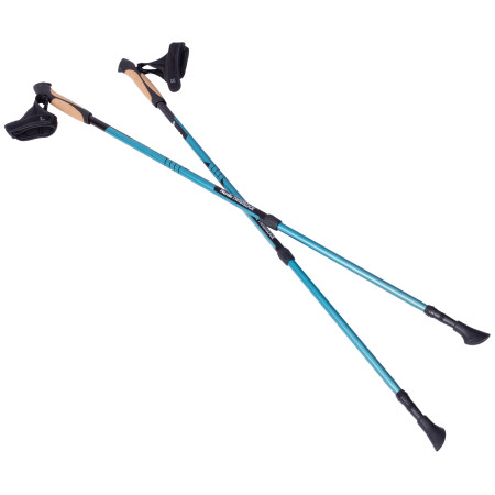 Nordic Walking Stöcke Warg Nordic Twistlock schwarz/blau black/blue