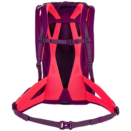 Rucksack Salewa Alp Trainer 20 Ws