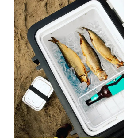 Kompressor-Kühlschrank Mestic Compressor MCCA-42 AC / DC