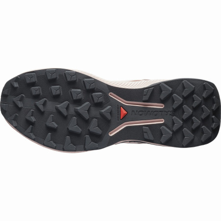 Damen Laufschuhe Salomon Genesis 2 Gtx W