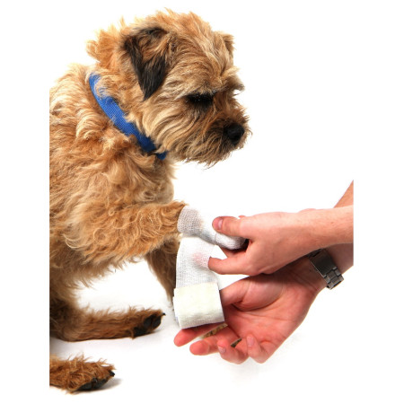 Erste-Hilfe-Set für Hunde Mountain Paws Dog First Aid Kit