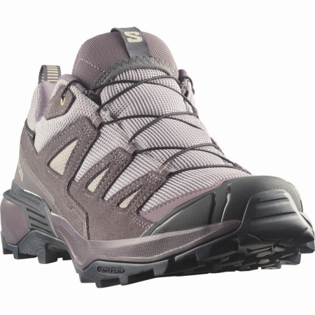 Herrenschuhe Salomon X Ultra 360 Leather Gore-Tex