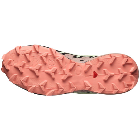 Damenschuhe Salomon Speedcross 6 Gore-Tex
