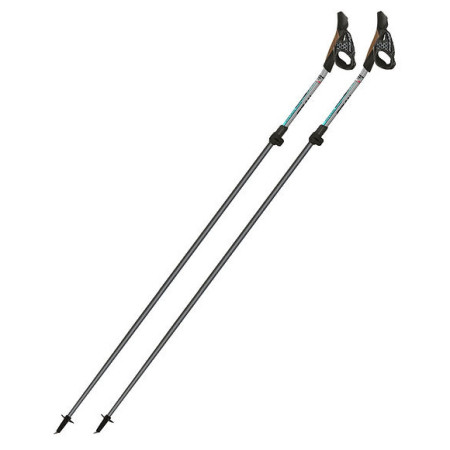 Nordic Walking Stöcke Fizan NW Carbon Pro Impulse