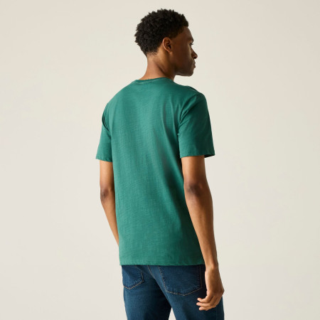 Herren-T-Shirt Regatta Rendro
