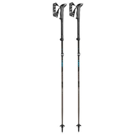 Trekkingstöcke Leki Makalu FX TA schwarz petrol-black-silvergray