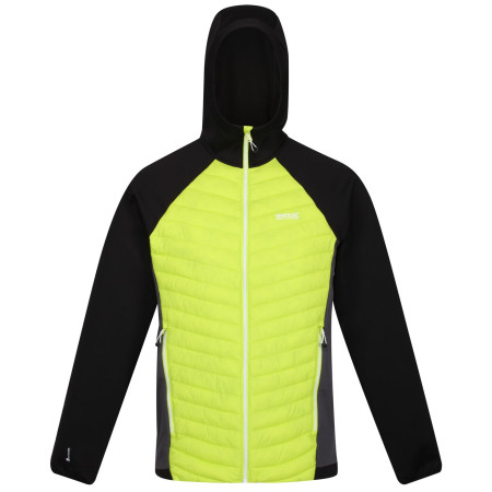 Herren-Winterjacke Regatta Andreson VII Hybrid grün BriKiwi/Blk