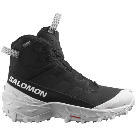 Pánské zimní boty Salomon Crosstrak Powder Waterproof schwarz/weiß Black / Black / White