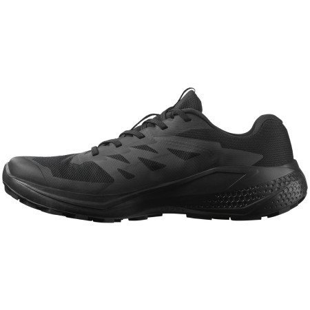 Herren Laufschuhe Salomon Alphaglide Gore-Tex