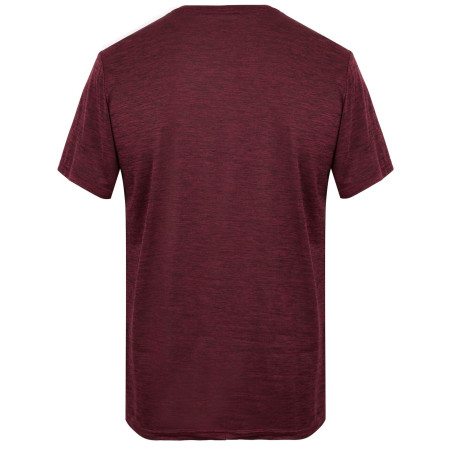 Herren-T-Shirt Regatta Fingal Edition