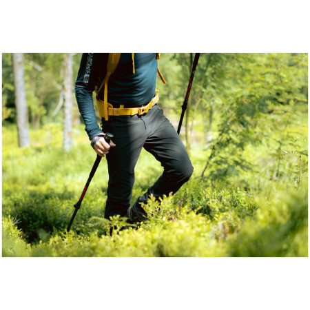 Herren-Softshellhose High Point Versa Pants