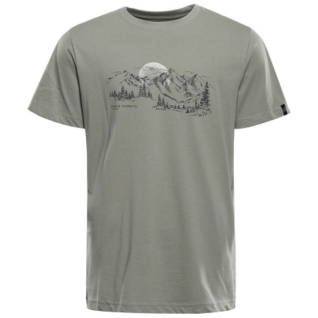 Herren-T-Shirt Alpine Pro Termes 4 grau Grey