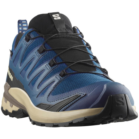 Wanderschuhe Salomon Xa Pro 3D V9 Gore-Tex
