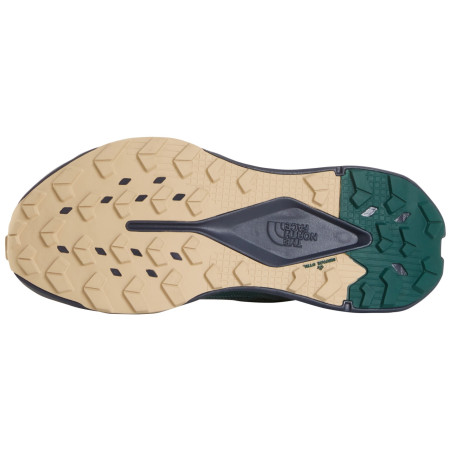 Herren Laufschuhe The North Face M Altamesa 300 V2