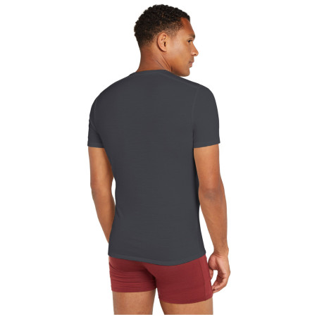 Herren-T-Shirt Icebreaker M Anatomica SS Crewe