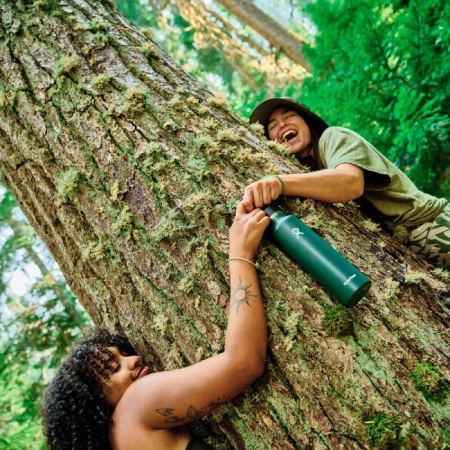 Thermoflasche Hydro Flask Standard Flex Cap 24 oz