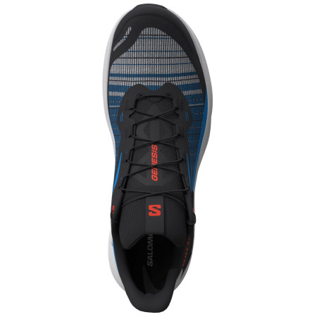 Herrenschuhe Salomon Genesis